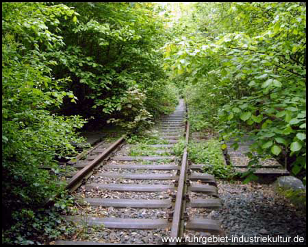 Vor einigen Jahren lagen hier noch Gleise unter Gebüsch