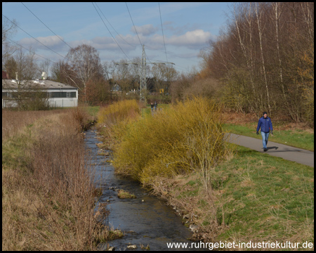 Ruhr-Lenne-Achter Baarbach