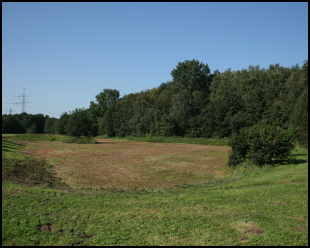 Ruhrgashalde im Nordsternpark