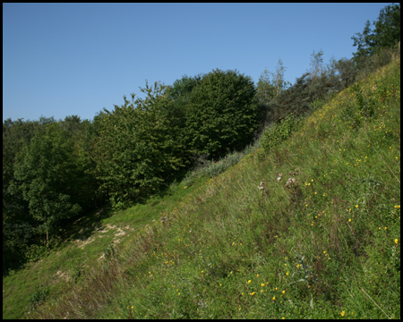 Ruhrgashalde im Nordsternpark