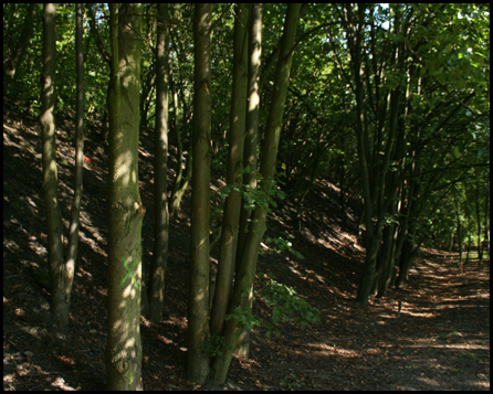 Ruhrgashalde im Nordsternpark