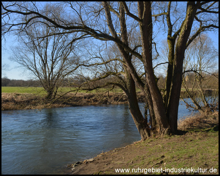 Hier gelangt man zum Ufer des Flusses