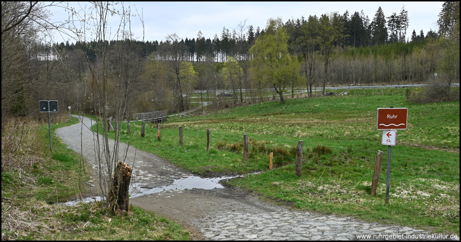 Die Ruhr als kleiner Rinnsal am Ruhrkopf bei Winterberg