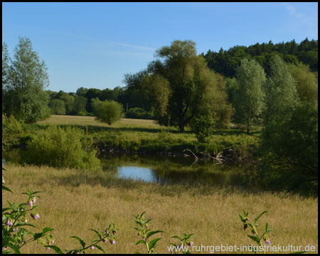 Idyllische Ruhrauen und Ausläufer des Ardeys bei Wengern