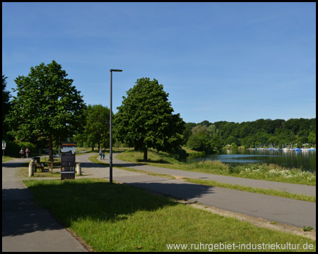 Drei Asphaltstrecken: Radweg, Ruhr-In-Line, Wanderweg