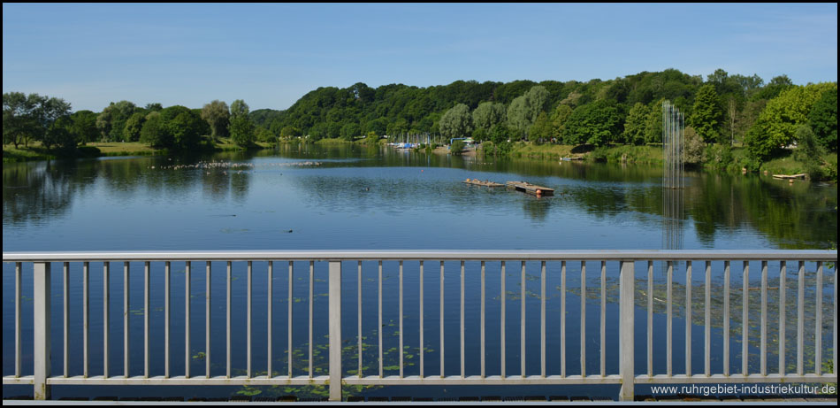 Blick auf den Mündungsbereich des Oelbachs bei Heveney unterhalb der Ruhr-Universität