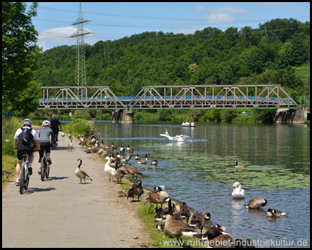 Näher kann ein Flussradweg nicht am Wasser sein