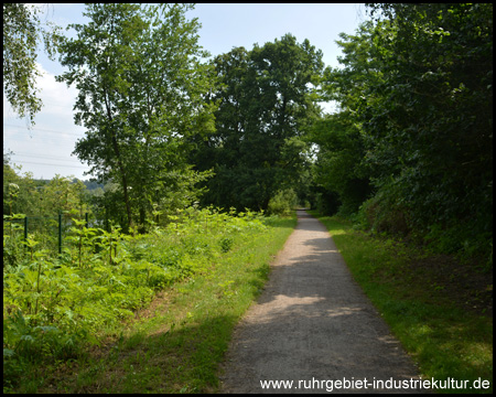 Ruhig gelegene Radweg-Variante