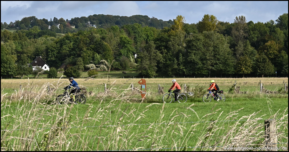 Drei Radfahrer auf dem RuhrtalRadweg