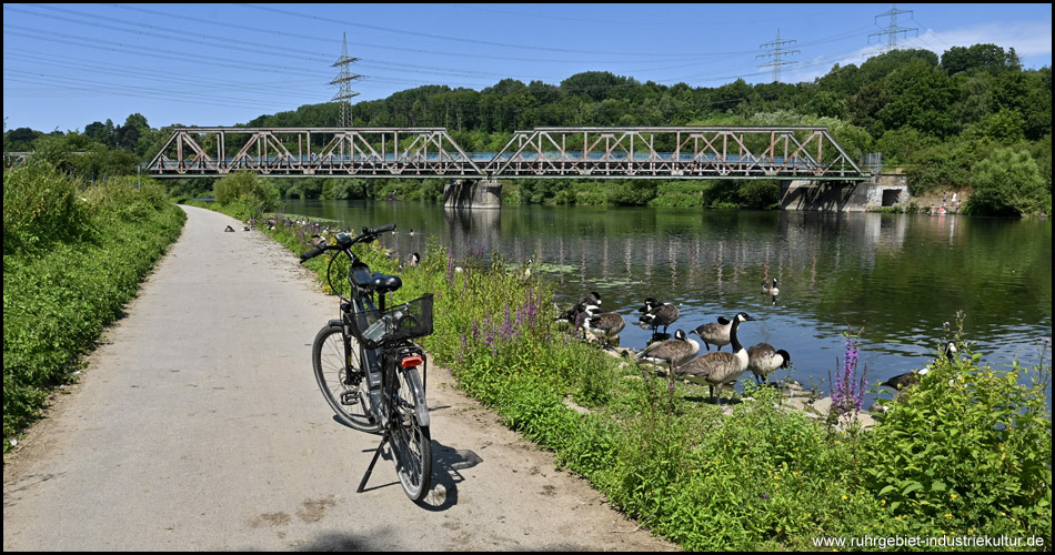 Fahrrad auf dem RuhrtalRadweg mit Eisenbahnbrücke Dahlhausen