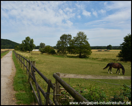 Vorbeifahrt an Pferdekoppeln und Kornfeldern