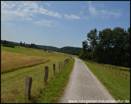 Ein kurzer Abschnitt auf dem Ruhrdeich bei Mülheim (Rückblick)