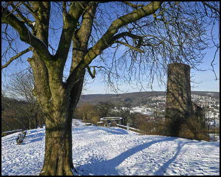 Baum und Turm einer Burgruine in verschneiter Landschaft.