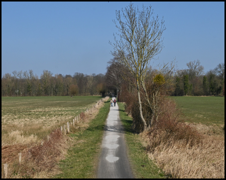 Weg am Rande des Naturschutzgebietes