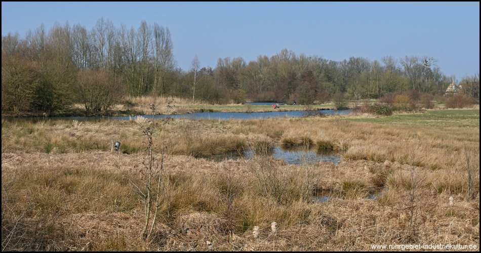 Mühlengraben in Hamm