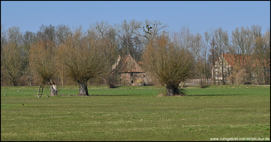 Kopfweiden und Schlossmühle in Hamm-Heessen