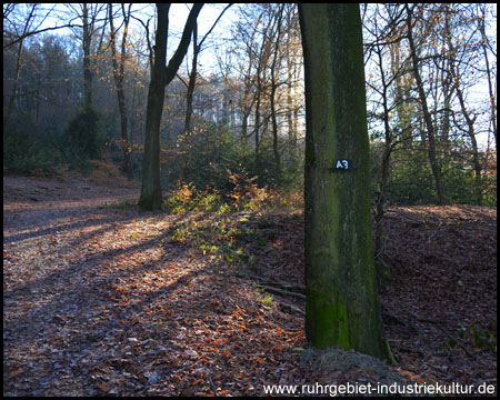 Pinge und Halde des Versuchsschachtes der Zeche Trappe