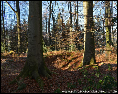 Zeche Trappe, Schacht Frischgewagt mit Verladeplatz (vorne)