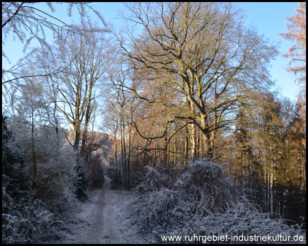 Eisiger Wanderweg am Schlebuscher Berg