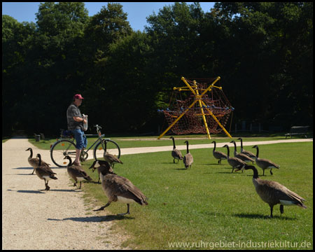 Spielplatz und Gänsefütterung