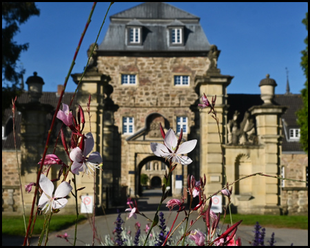 Schloss und Blumen