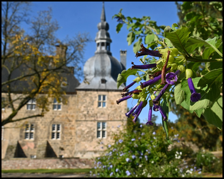 Turm eines Schlosses