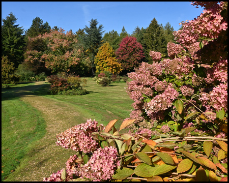 Heinrich-Nottelmann-Park