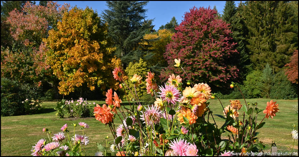 Schlosspark Lembeck mit Dahlien und herbstlich gefärbten Bäumen