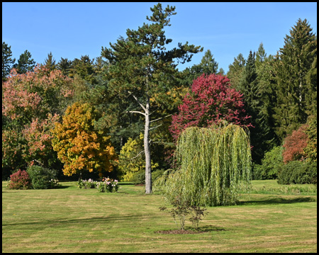 Bunte Bäume im Park