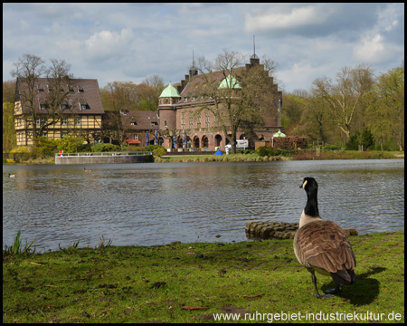 Von Mensch (und Tier) gut vom Schlosspark einsehbar