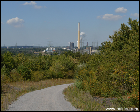 Blick auf die Kokerei und das Bergwerk Prosper in Bottrop