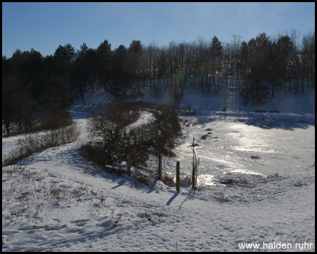 Zugefrorener Teich an der Ostseite der Halde