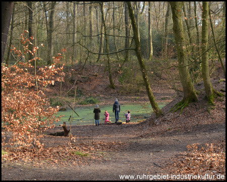 Am Blauen See im Schwerter Wald