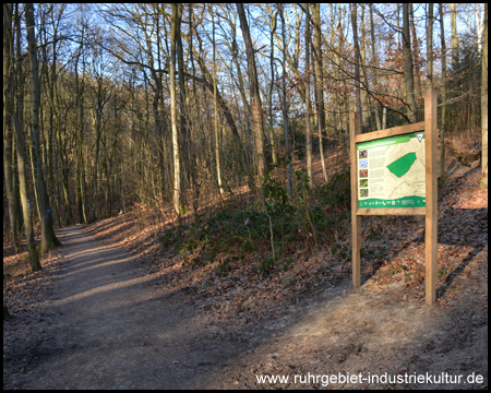 Informationstafel am Wildnis-Entwicklungsgebiet im Ostteil