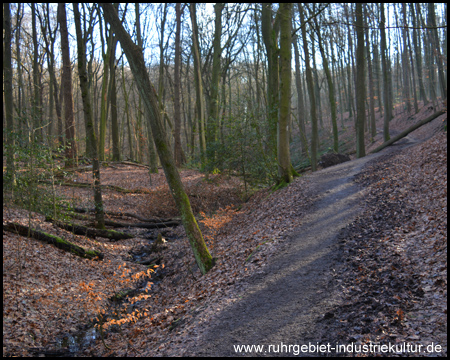 Hügelige Landschaft mit kleinen Bächen