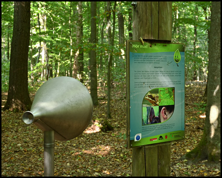 Lauschtrichter auf dem Erlebnisweg im Schwerter Wald (Naturerlebnispfad)