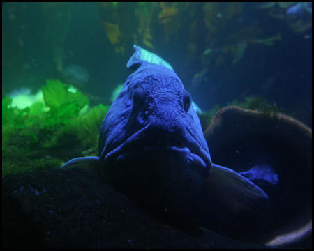 Sea Life Oberhausen