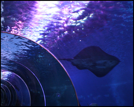 Sea Life Oberhausen