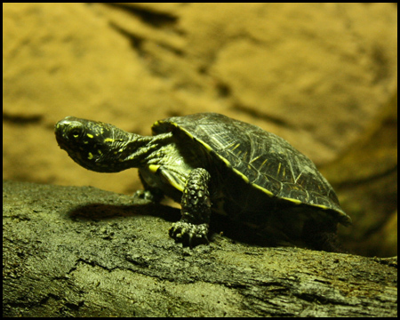 Sea Life Oberhausen