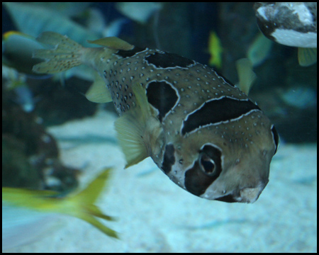 Sea Life Oberhausen