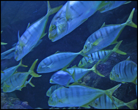 Sea Life Oberhausen