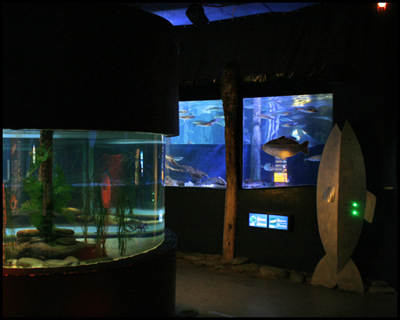 Sea Life Oberhausen