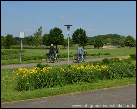 Blühende Pflanzen in Beeten