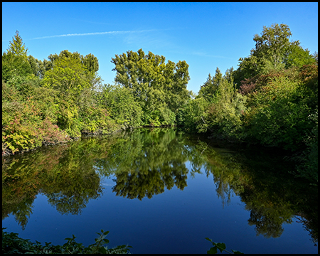 Ein ruhiger See, umgeben von üppigem Grün. Die Bäume und Sträucher am Ufer spiegeln sich perfekt in der glatten Wasseroberfläche.