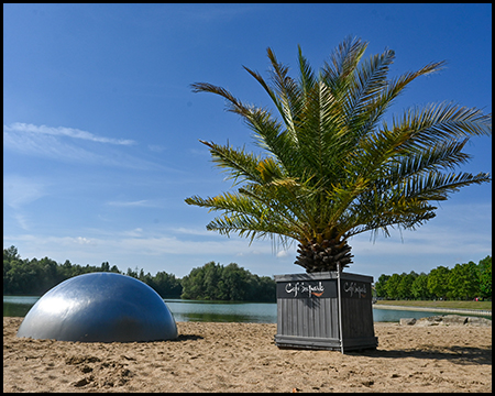 Sandstrand mit einer Palme und der silbernen Kuppel. Im Hintergrund ist ein weißer Bootssteg oder eine Brücke über das Wasser zu erkennen, umgeben von grüner Landschaft.