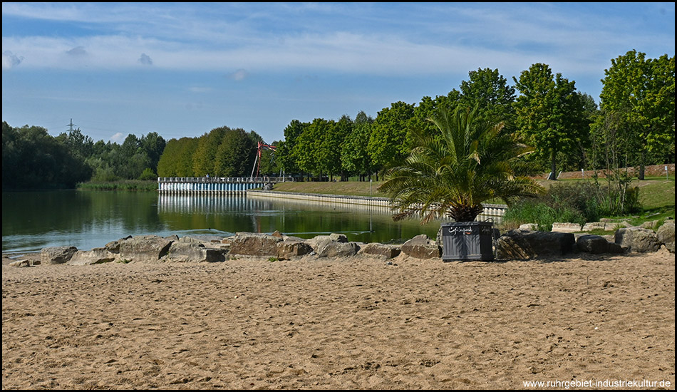 Ein Sandstrand an einem See mit einer Palme in einem Kübel.