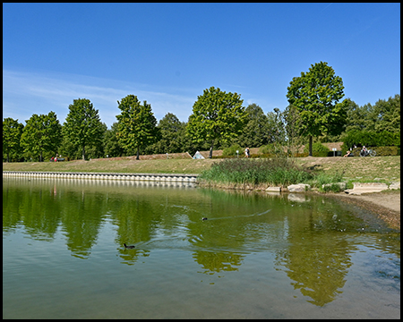 Ein künstlich angelegter Teich oder See mit grünlichem Wasser. Am Ufer befinden sich Bäume