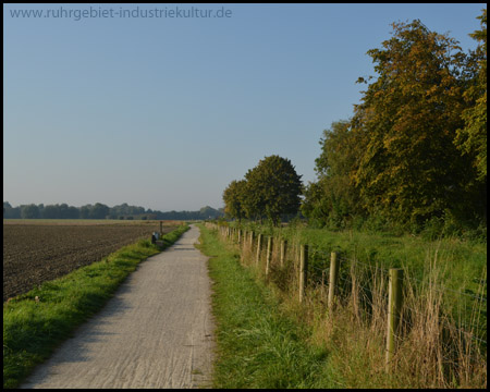 Rexebach-Weg zwischen Feldern und Bach