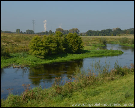 Landschaft im Fluss mit Sumpfzypressen Kraftwerk Lünen (hinten) als Zielmarke 