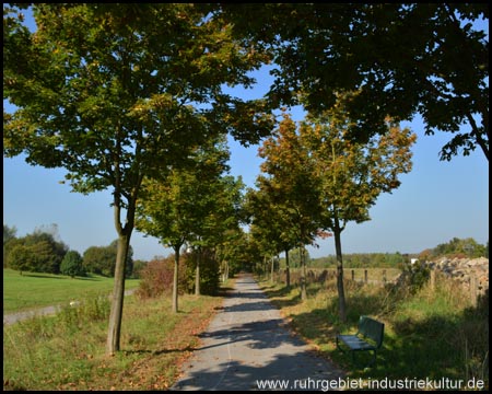 Allee in den Seepark Lünen